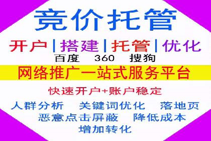 某企业通过SEO和SEM双管齐下实现业绩飞跃的案例